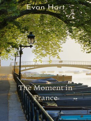 cover image of The Moment in France